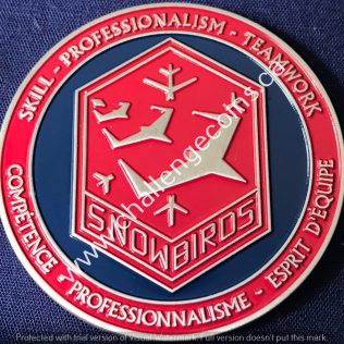 Snowbirds 15 Wing 431 Squadron